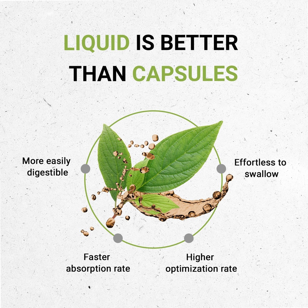 secrets-of-the-tribe-sarsaparilla-tinctu-2.jpg