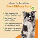 pet-wellbeing-core-kidney-care-for-dogs--3.jpg