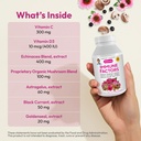 andrew-lessman-immune-factors-30-capsule-3.jpg