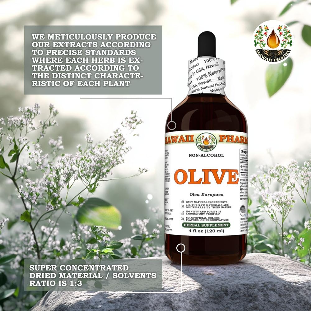 olive-olea-europaea-dry-leaf-glycerite-a-5.jpg