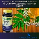valerian-root-500mg-vegan-capsules-100ct-2.jpg