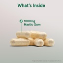 jarrow-formulas-mastic-gum-1000-mg-dieta-3.jpg