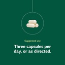 standard-process-a-c-carbamide-supports--5.jpg