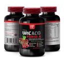 uric-acid-flush-uric-acid-cleans-uric-ac-2.jpg