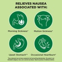 dramamine-nausea-ginger-chews-20-count-a-4.jpg