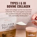live-conscious-collagen-peptides-powder--5.jpg