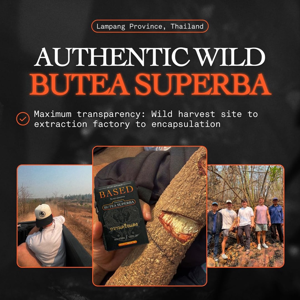 based-supplements-butea-superba-extract--2.jpg