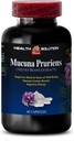energy-and-focus-supplement---mucuna-pru-2.jpg