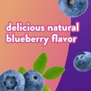 vitafusion-brain-food-gummy-supplement-1-3.jpg