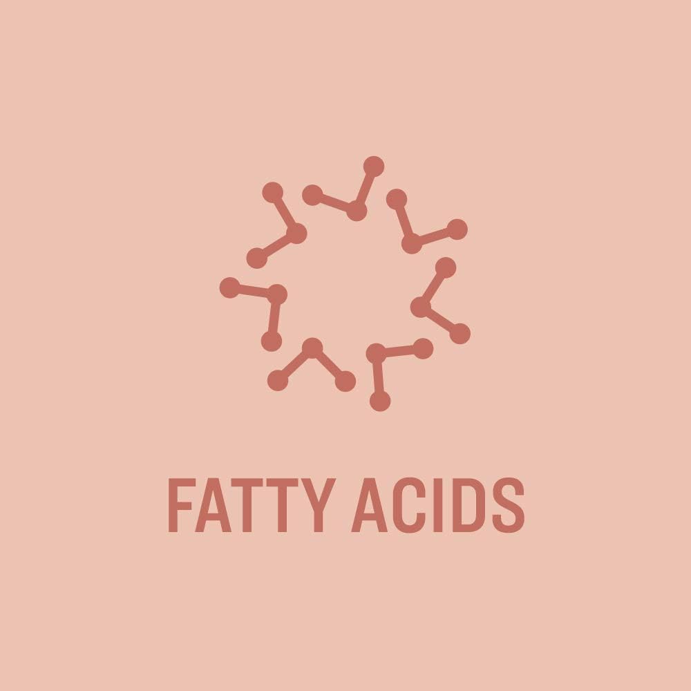 amazon-brand---revly-dha-omega-3-fatty-a-4.jpg