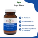 foods-for-gut-lactobacillus-plantarum-pr-2.jpg