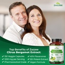zazzee-citrus-bergamot-251-extract-1200--2.jpg