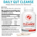 silver-fern-cleanse-daily-gut-2-bottle-2-3.jpg