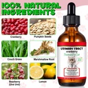 cat-urinary-tract-infection-treatment-ca-2.jpg