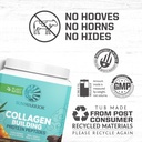 chocolate-vanilla-vegan-collagen-protein-5.jpg