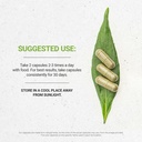 stevia-120-capsules-1000-mg-usda-organic-3.jpg