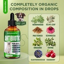 natural-antibiotics-for-dogs-and-puppies-3.jpg