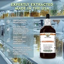 goldenseal-hydrastis-canadensis-dry-root-4.jpg