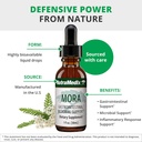 nutramedix-mora-yarrow-extract---yarrow--4.jpg