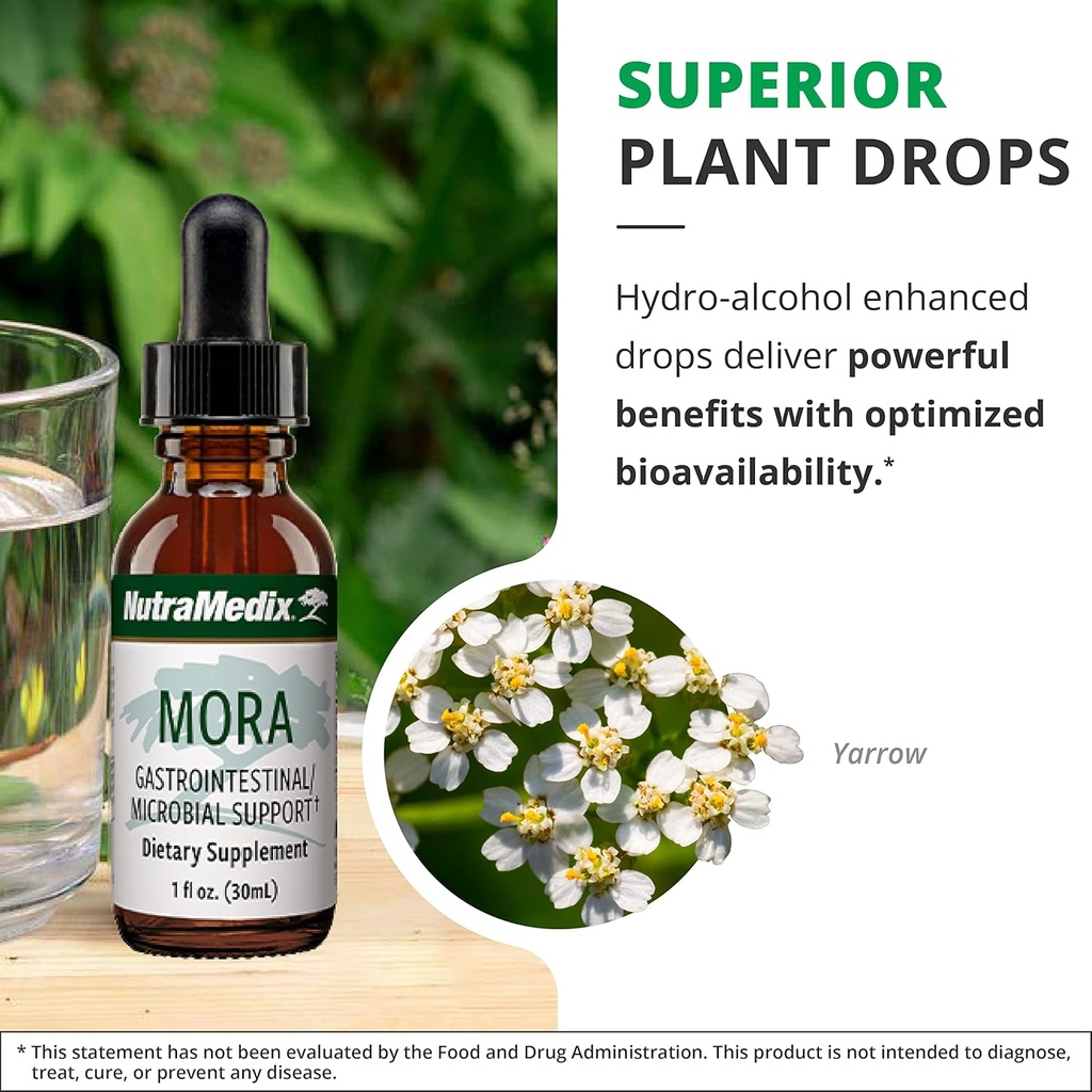 nutramedix-mora-yarrow-extract---yarrow--5.jpg