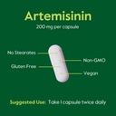 bestvite-artemisinin-200mg-120-veg-caps--5.jpg