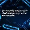 lifelink-lactobacilli-complex-10-billion-5.jpg