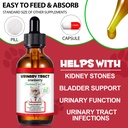 feline-urinary-tract-health-cat-uti-reme-4.jpg