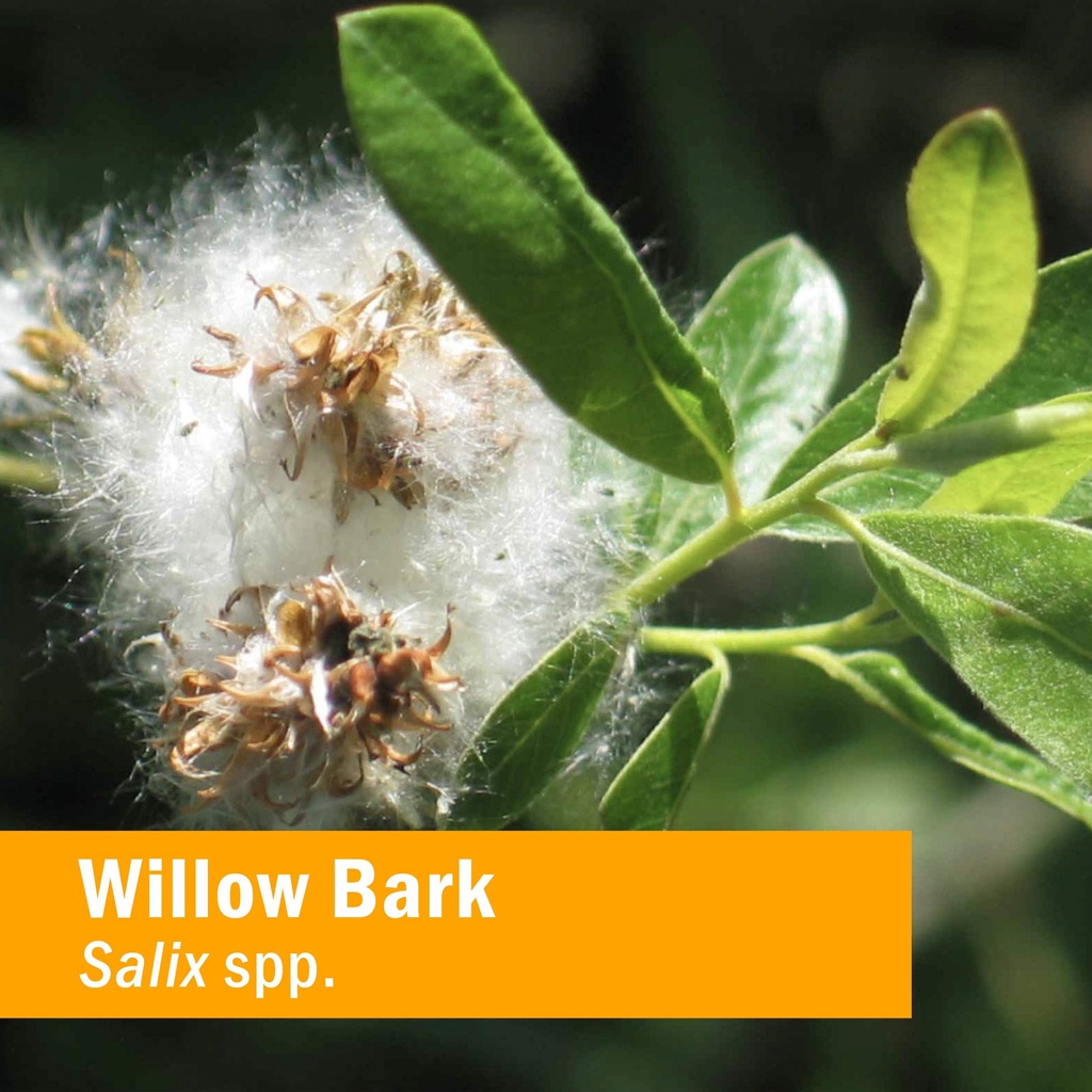 herb-pharm-willow-bark-liquid-extract-fo-2.jpg