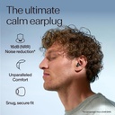 alpine-silence-ear-plugs-for-noise-reduc-2.jpg