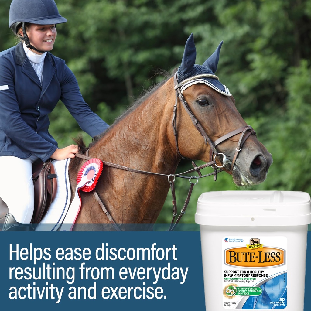 absorbine-bute-less-comfort-recovery-sup-4.jpg