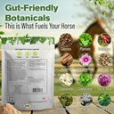 silver-lining-herbs-gut-support-horse-su-3.jpg
