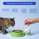 milk-thistle-powder-for-cats-liver-kidne-2.jpg