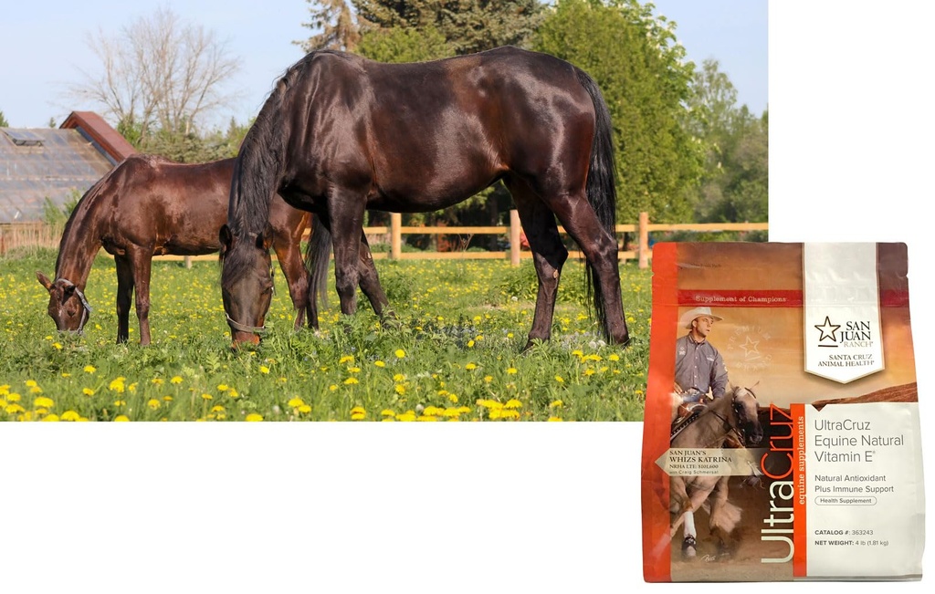 ultracruz-equine-natural-vitamin-e-powde-4.jpg