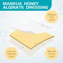manuka-honey-calcium-alginate-wound-dres-61qMWig2XiL.jpg