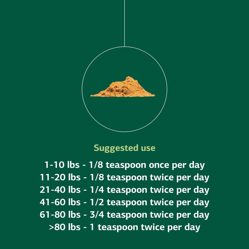 standard-process-canine-immune-system-su-619JIhiG3tL.jpg
