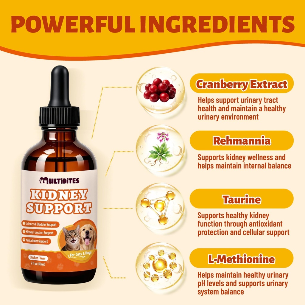 liquid-kidney-support-supplement-for-cat-81jAKVnkgvL.jpg