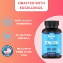 stem-cells-celulas-madres-improve-qualit-4.jpg