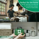 lewis-plast-premium-first-aid-kit-for-ho-81okIEDTmFL.jpg