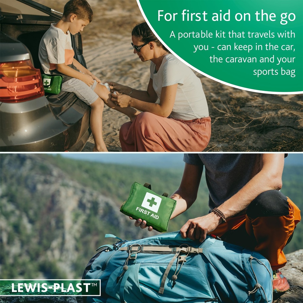 lewis-plast-premium-first-aid-kit-for-ho-81uvJaer0+L.jpg