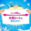 kobayashi-pharmaceutical-cooling-towels--711HXRLhWNL.jpg