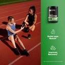 optimum-nutrition-creatine-monohydrate-p-91ULe7EibrL.jpg