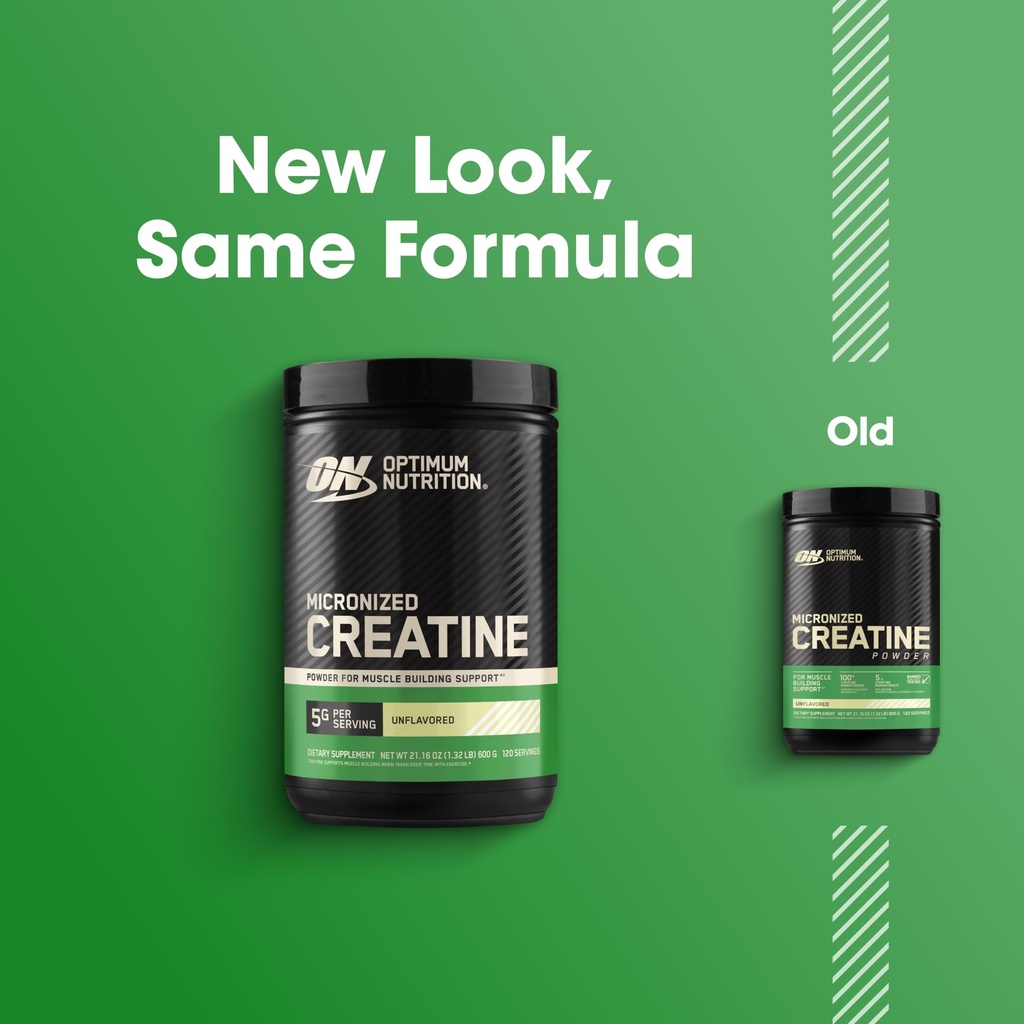 optimum-nutrition-creatine-monohydrate-p-71N5lCVGWBL.jpg