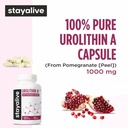 stay-alive-urolithin-a-supplement-1000mg-71J7UAslYIL.jpg