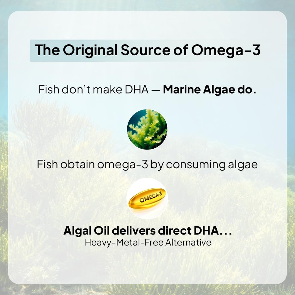 miduty-veg-omega-3-500mg-40-algal-dha-ep-61u9c5QbPsL.jpg