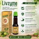 livzyme-syrup-200-ml-herbal-liver-care-f-71tk64DBboL.jpg