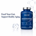 deage-akkermansia-muciniphila-150mg-next-61KgPCbij8L.jpg