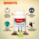 baidyanath-ayurved-medohar-guggulu-table-719EprBb7OL.jpg