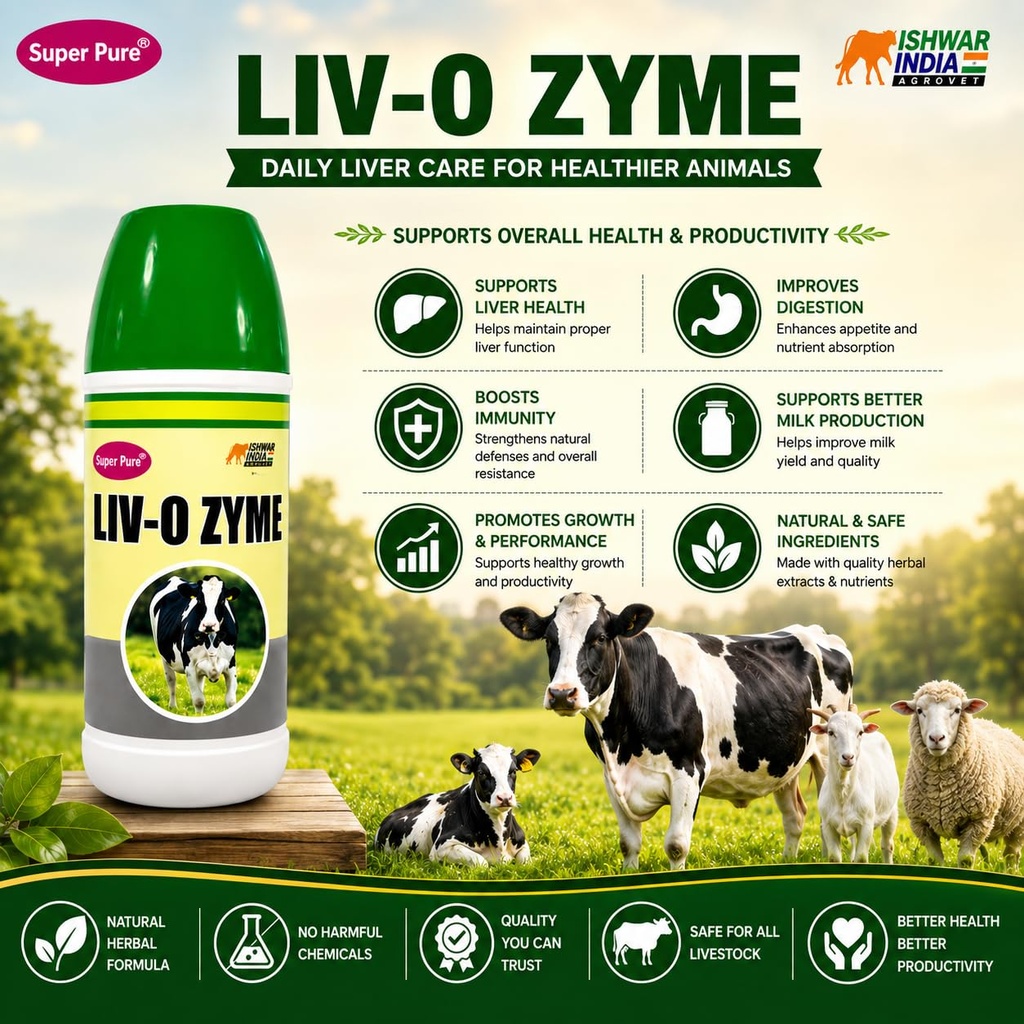 liv-o-zyme-liver-tonic-digestive-supplem-71NpLBDmCsL.jpg