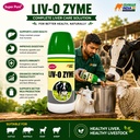 liv-o-zyme-liver-tonic-digestive-supplem-71DaW7qMC6L.jpg