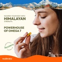 wellwith-by-ayuzera-sea-buckthorn-berry--81V405iAVLL.jpg